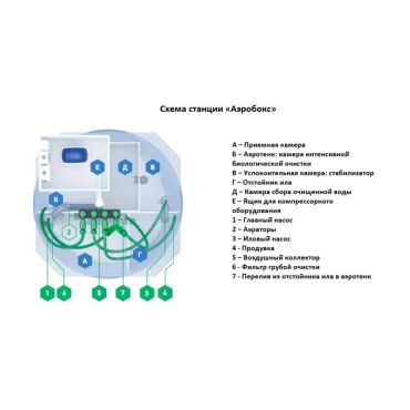 Купить септик Аэробокс А-230 5 MAX Самотечный Без монтажа на 5 человек, с гарантией 10 лет по выгодной цене, с доставкой в магазине Биосептикон